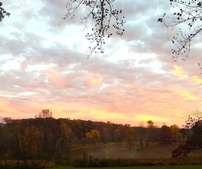 Sunrise over the grounds of Dayspring Silent Retreat Center. There are bare winter trees with pink and yellow clouds above.